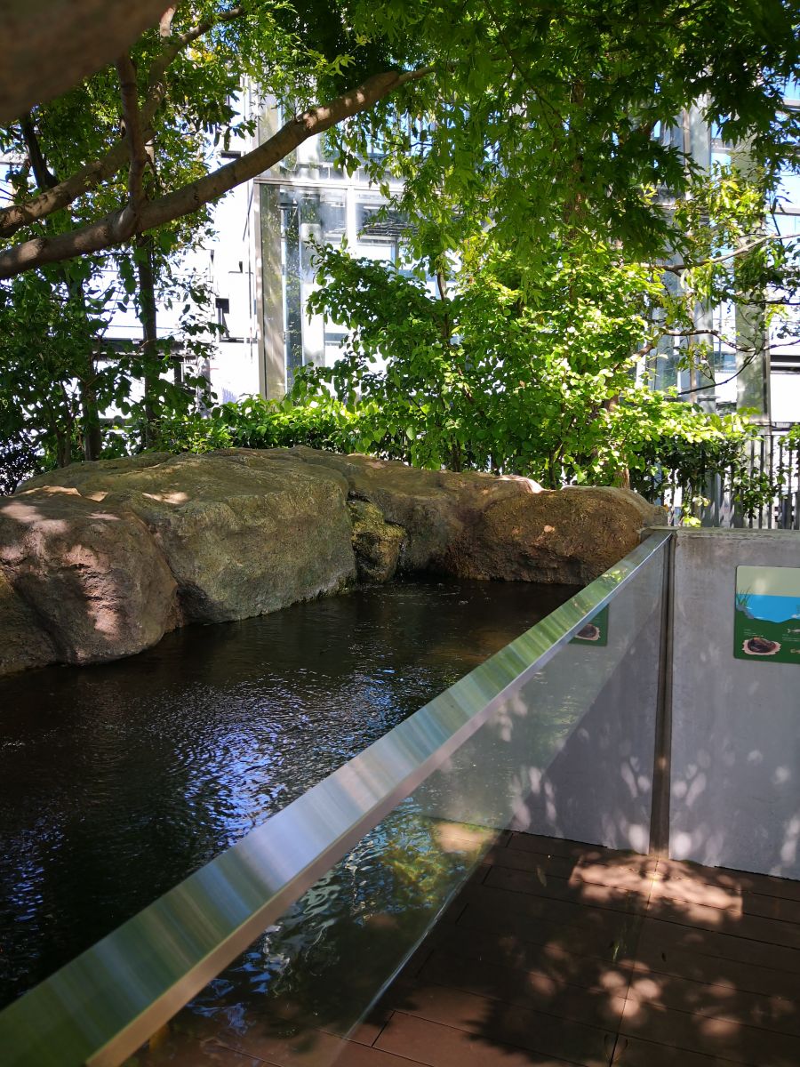 東京知名建筑與景觀參訪 與戶田芳樹大師對話