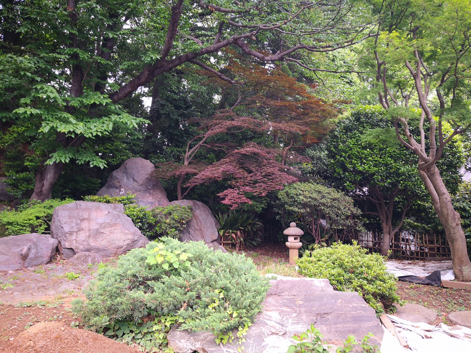 感受日本現代景觀和知名建筑 對話禪僧大師枡野俊明