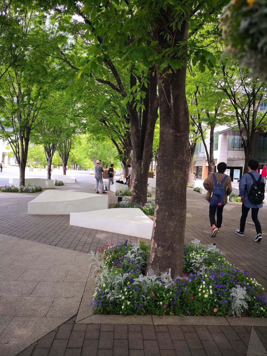 感受日本現代景觀和知名建筑 對話禪僧大師枡野俊明