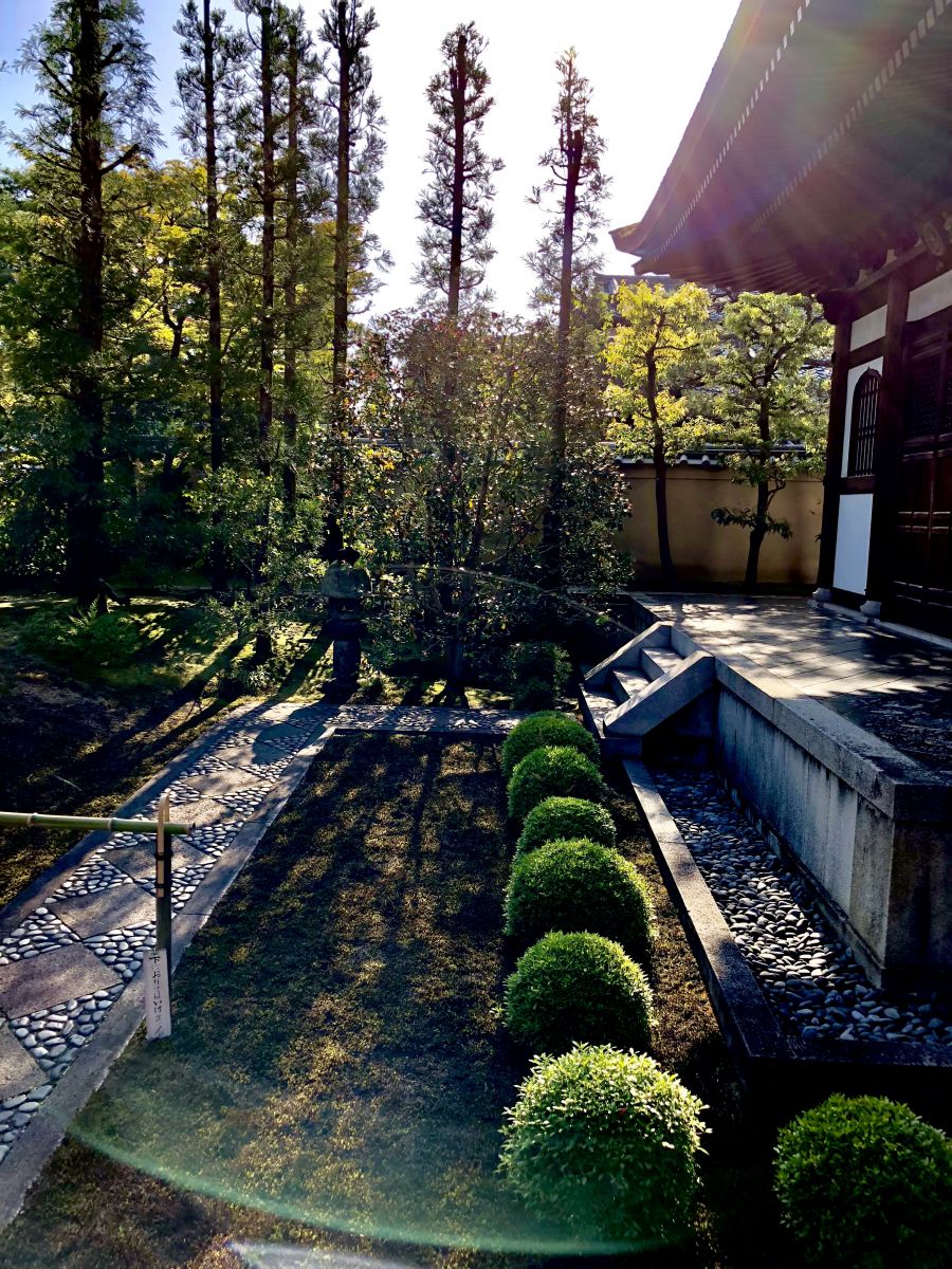 領(lǐng)略日本傳統(tǒng)庭院 考察京都最美河流