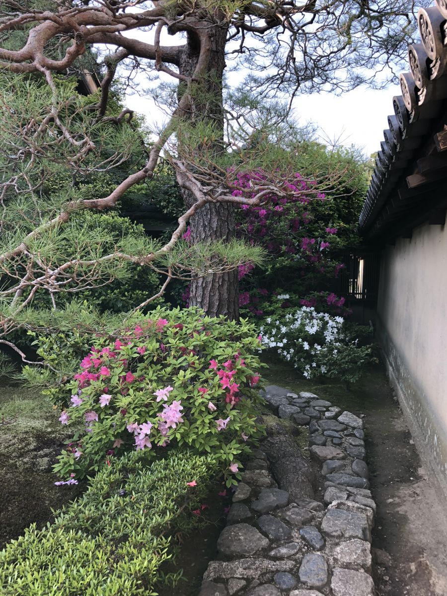 領(lǐng)略日本傳統(tǒng)庭院 考察京都最美河流