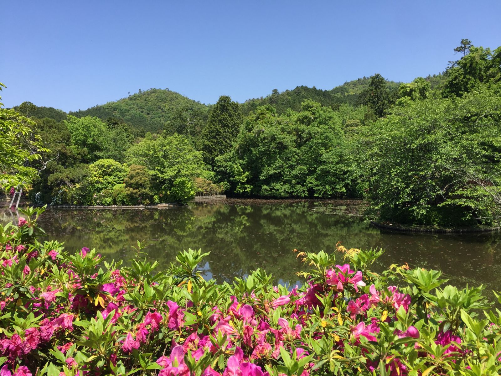 領(lǐng)略日本傳統(tǒng)庭院 考察京都最美河流