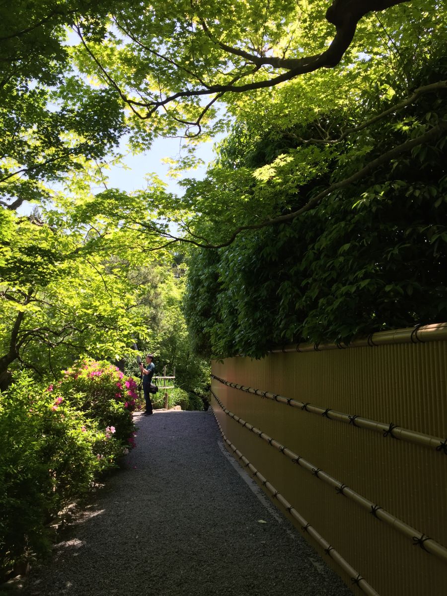 領(lǐng)略日本傳統(tǒng)庭院 考察京都最美河流