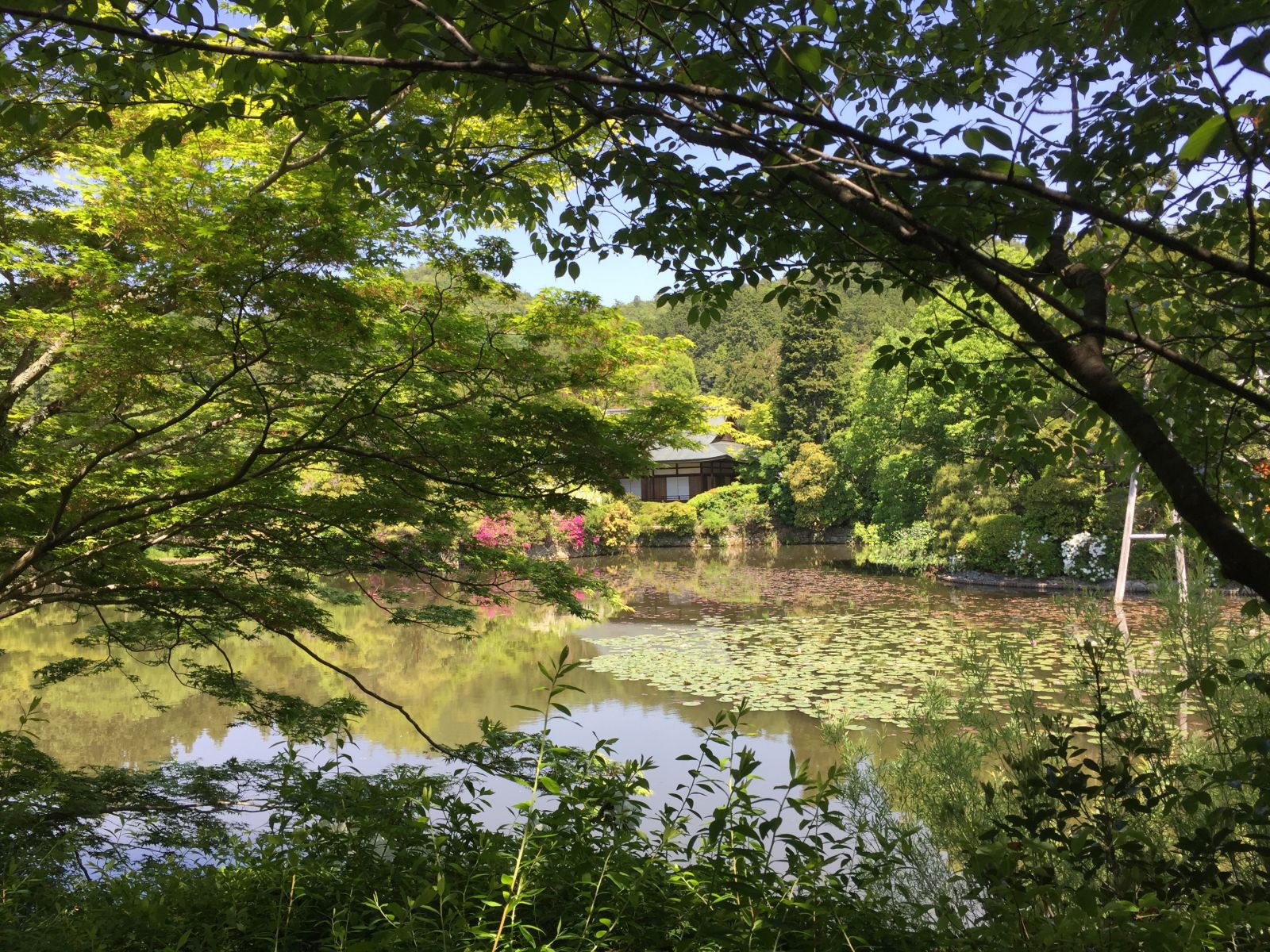 領(lǐng)略日本傳統(tǒng)庭院 考察京都最美河流