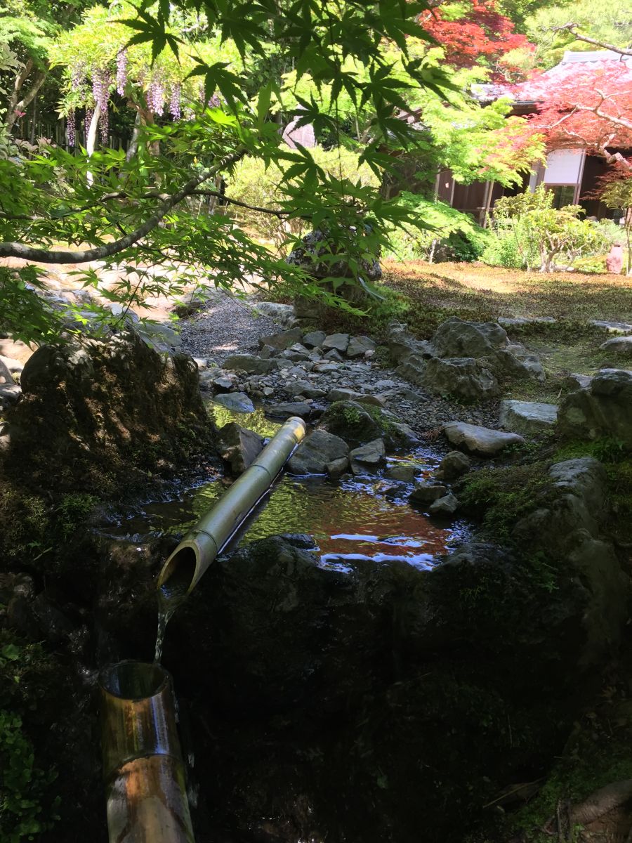 領(lǐng)略日本傳統(tǒng)庭院 考察京都最美河流