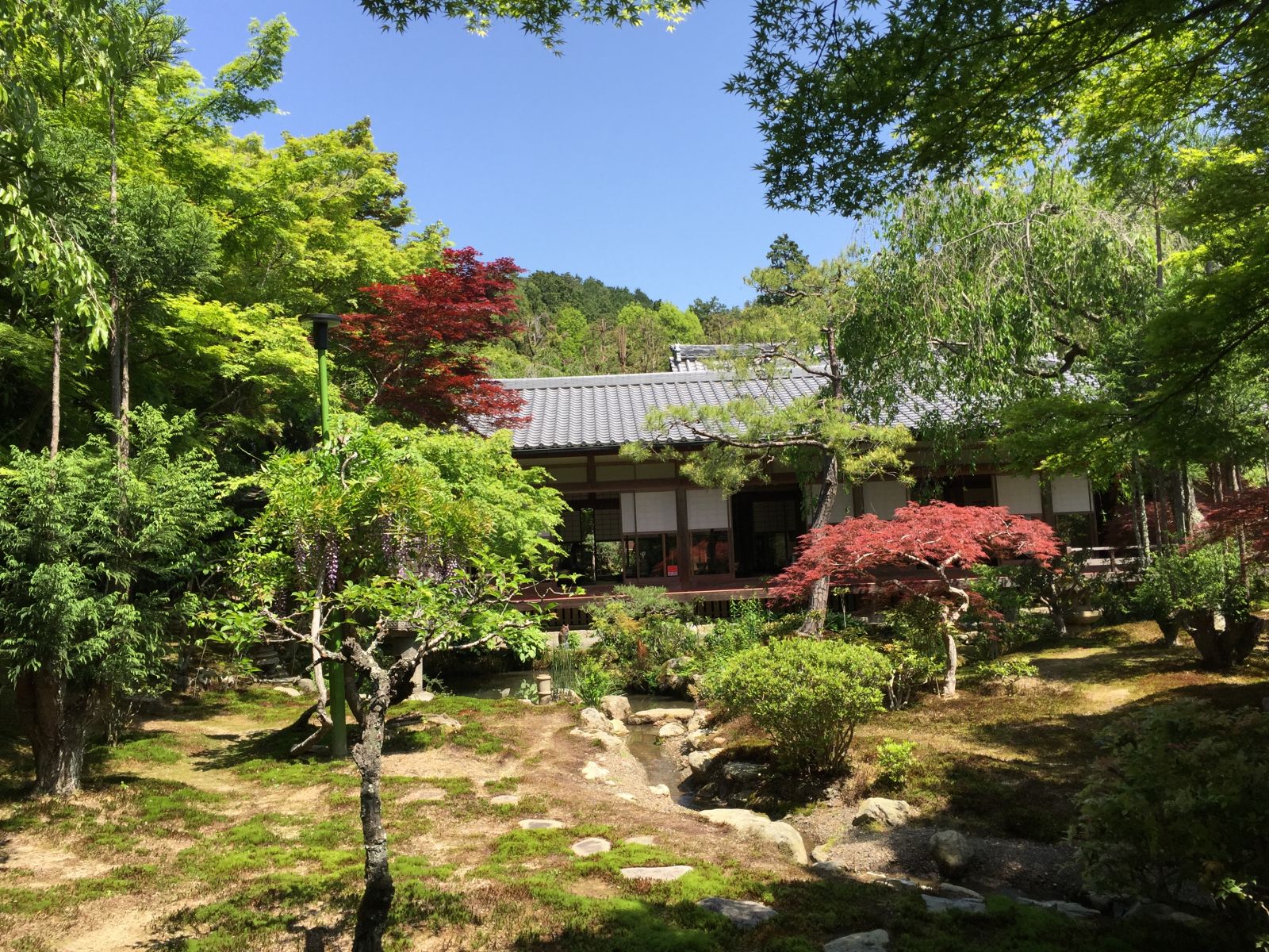 領(lǐng)略日本傳統(tǒng)庭院 考察京都最美河流