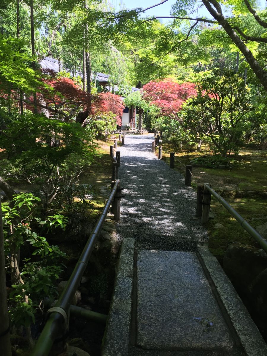 領(lǐng)略日本傳統(tǒng)庭院 考察京都最美河流