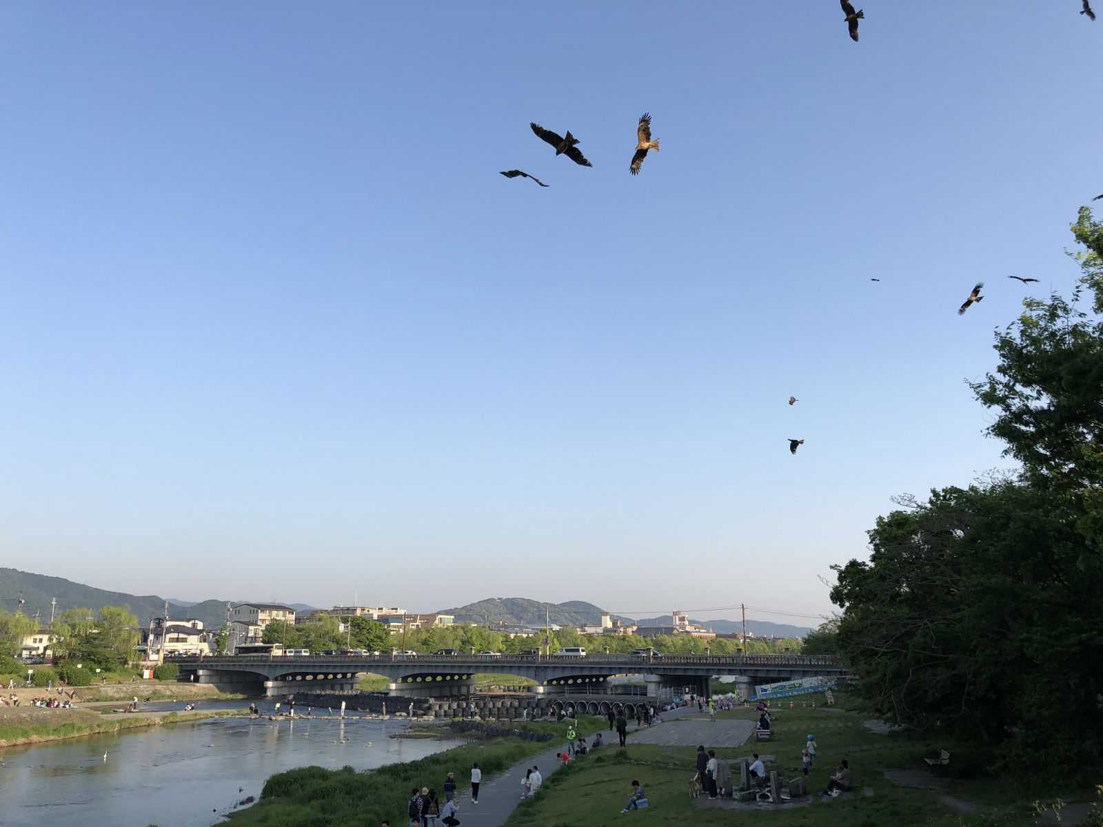 領(lǐng)略日本傳統(tǒng)庭院 考察京都最美河流