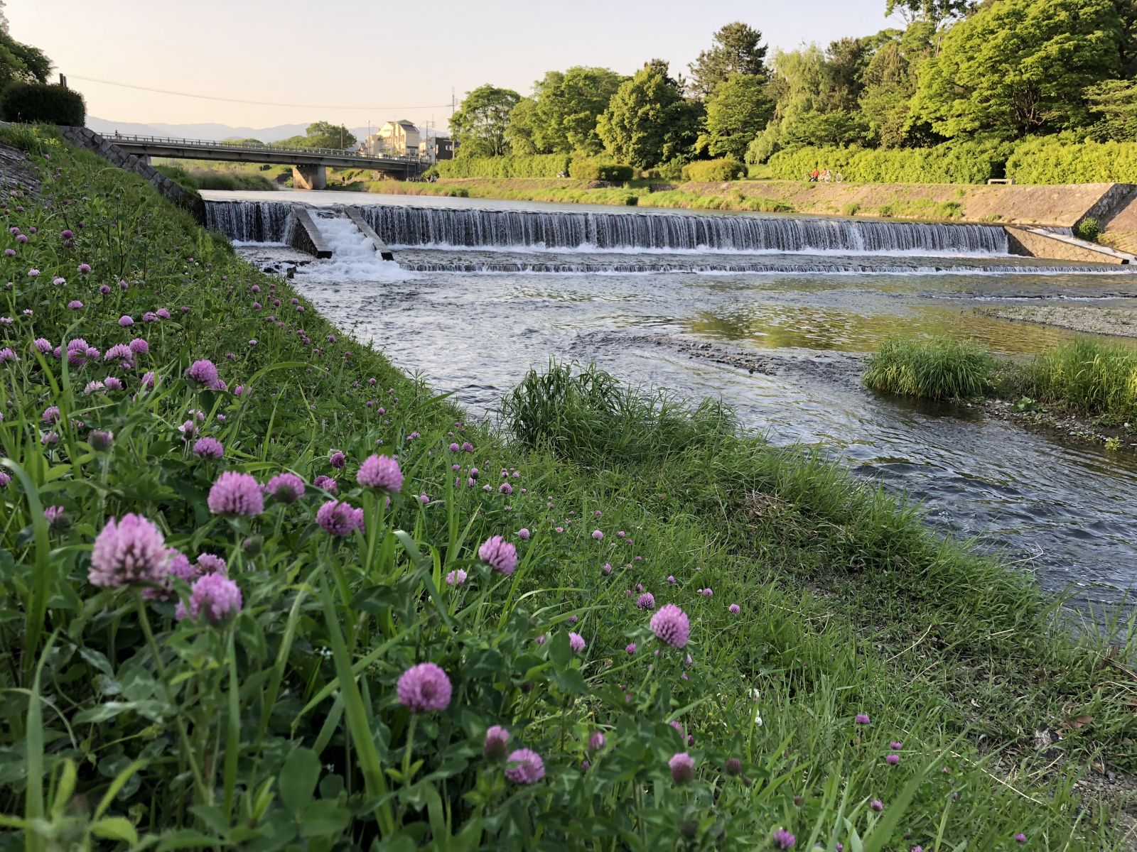 領(lǐng)略日本傳統(tǒng)庭院 考察京都最美河流