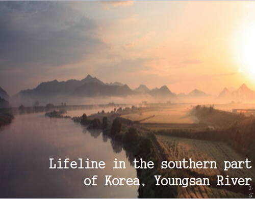 樸基淑：都市河川的生態(tài)修復