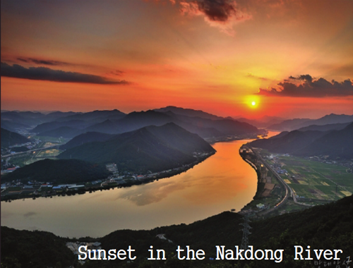 樸基淑：都市河川的生態(tài)修復