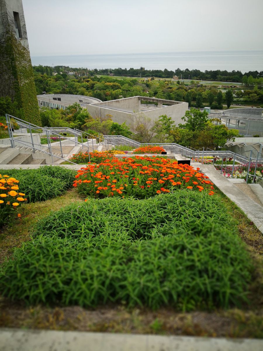 參觀大師安藤忠雄作品 考察大阪住宅與商業建筑