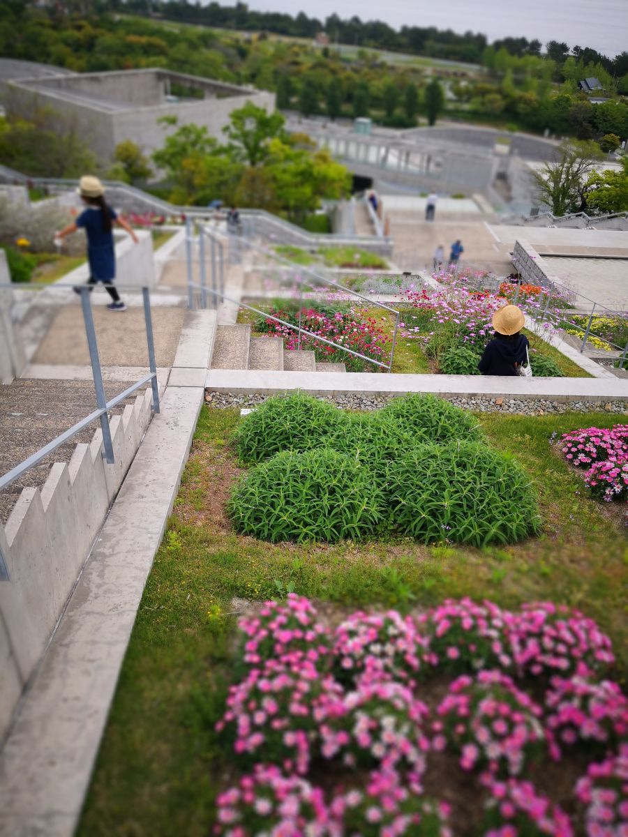 參觀大師安藤忠雄作品 考察大阪住宅與商業建筑