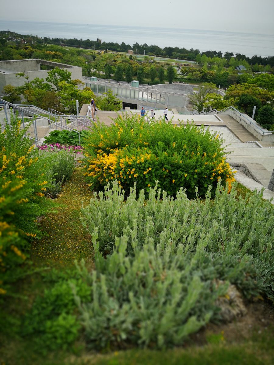 參觀大師安藤忠雄作品 考察大阪住宅與商業建筑