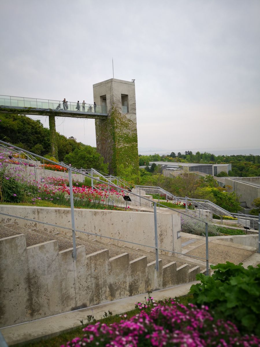 參觀大師安藤忠雄作品 考察大阪住宅與商業建筑