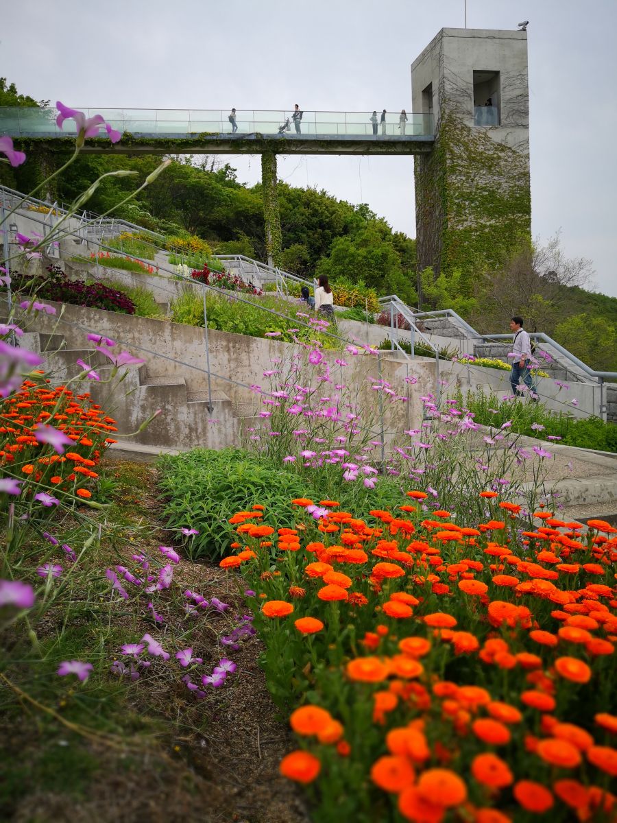 參觀大師安藤忠雄作品 考察大阪住宅與商業建筑