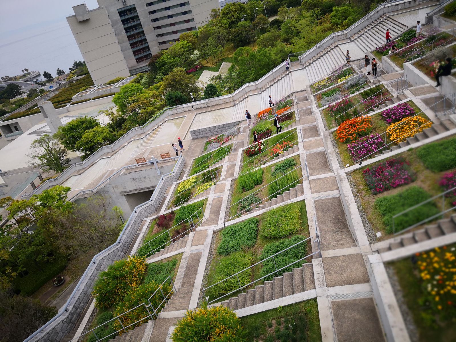 參觀大師安藤忠雄作品 考察大阪住宅與商業建筑