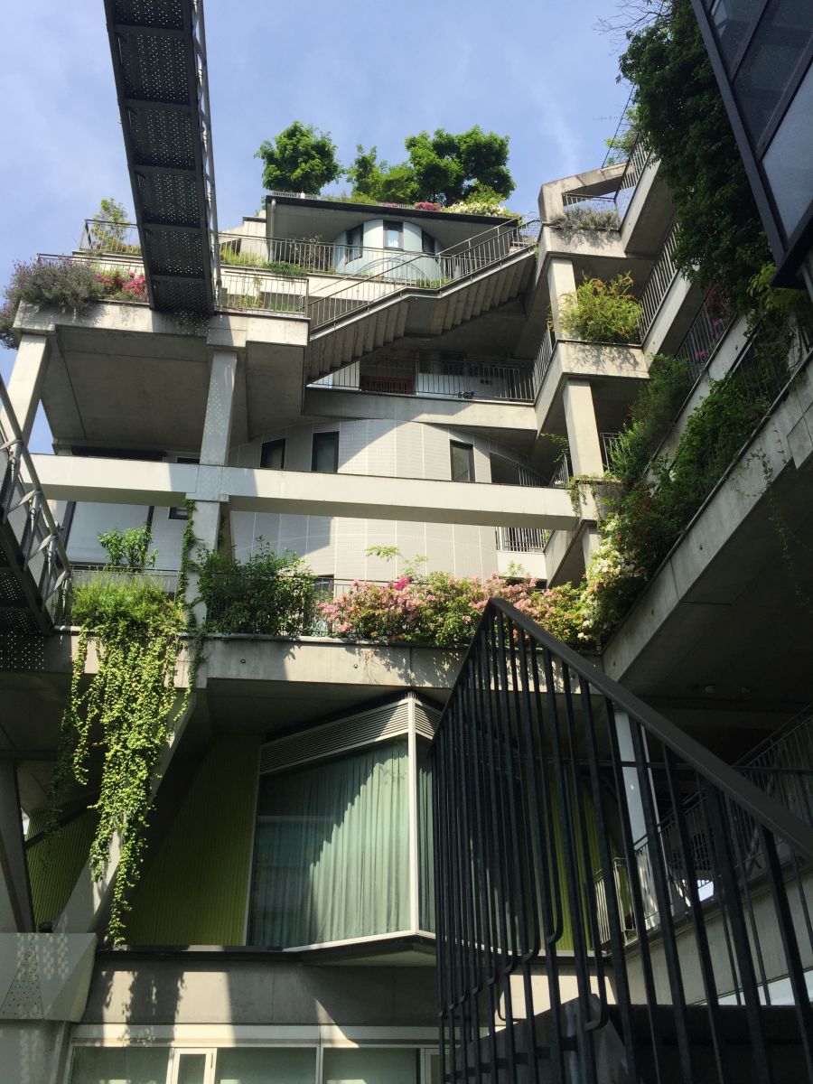 參觀大師安藤忠雄作品 考察大阪住宅與商業建筑