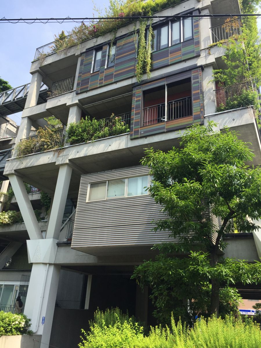 參觀大師安藤忠雄作品 考察大阪住宅與商業建筑