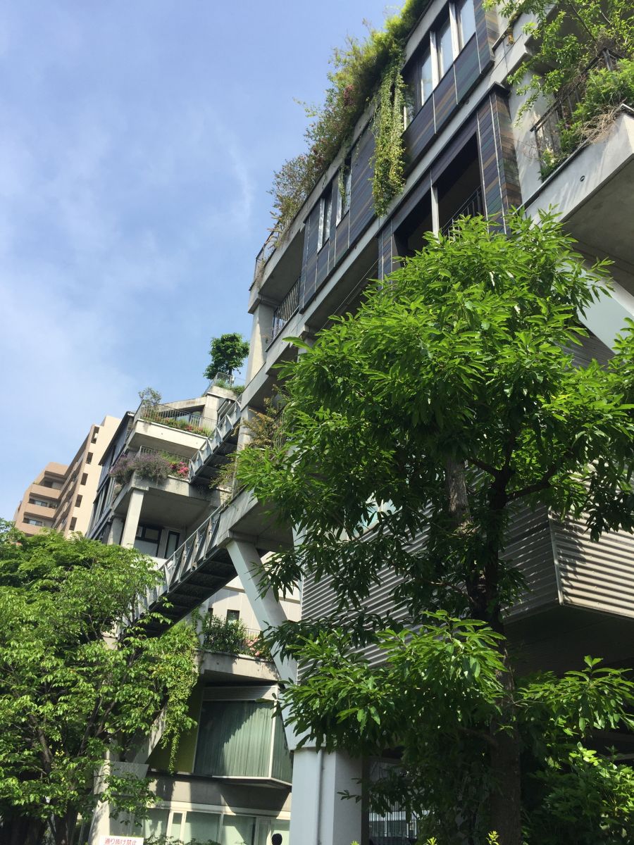 參觀大師安藤忠雄作品 考察大阪住宅與商業建筑