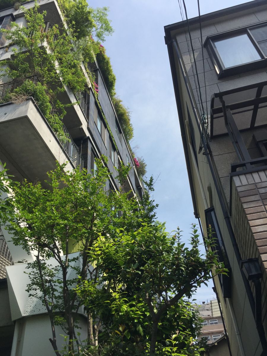 參觀大師安藤忠雄作品 考察大阪住宅與商業建筑