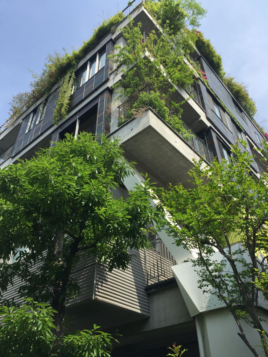 參觀大師安藤忠雄作品 考察大阪住宅與商業建筑