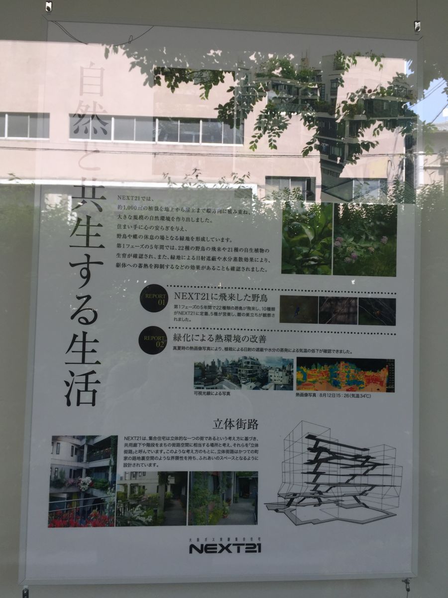 參觀大師安藤忠雄作品 考察大阪住宅與商業建筑