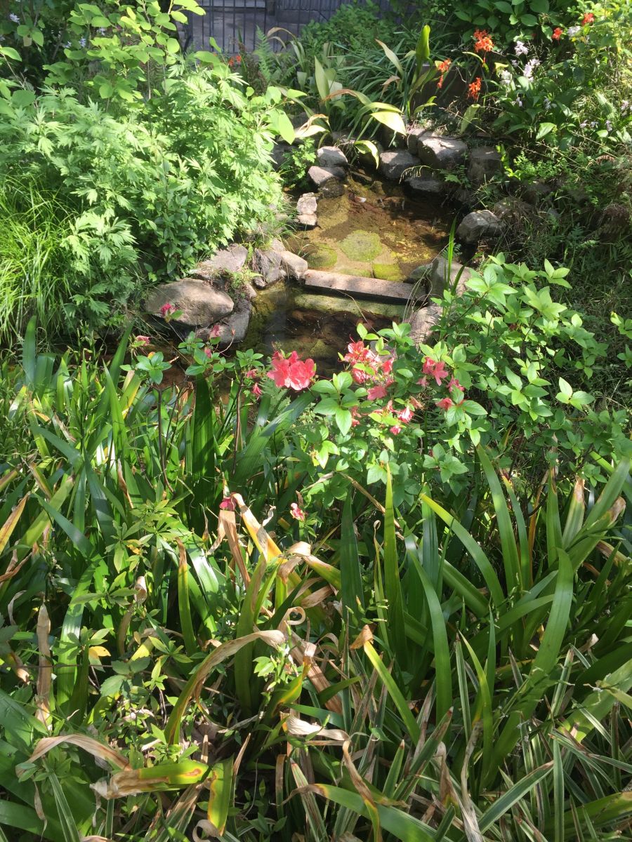 參觀大師安藤忠雄作品 考察大阪住宅與商業建筑