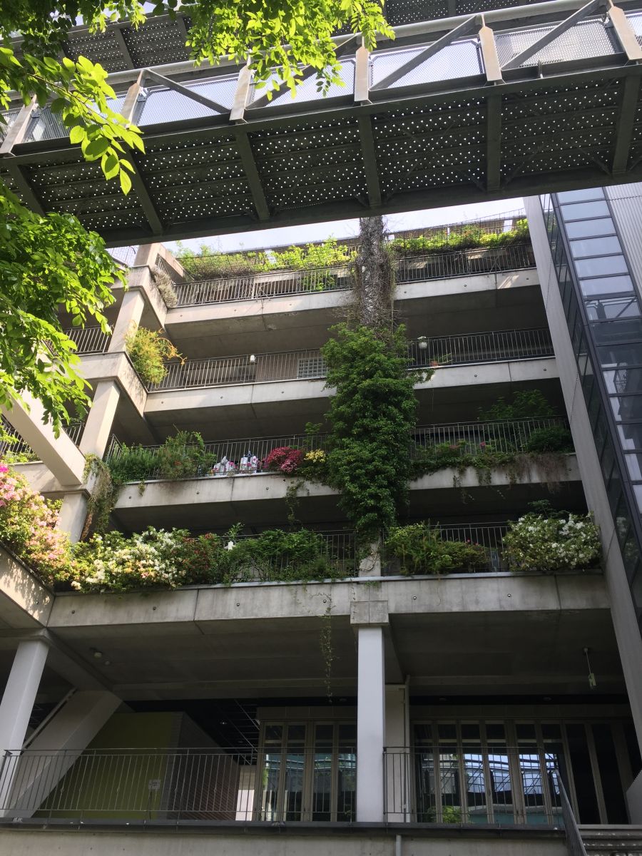 參觀大師安藤忠雄作品 考察大阪住宅與商業建筑