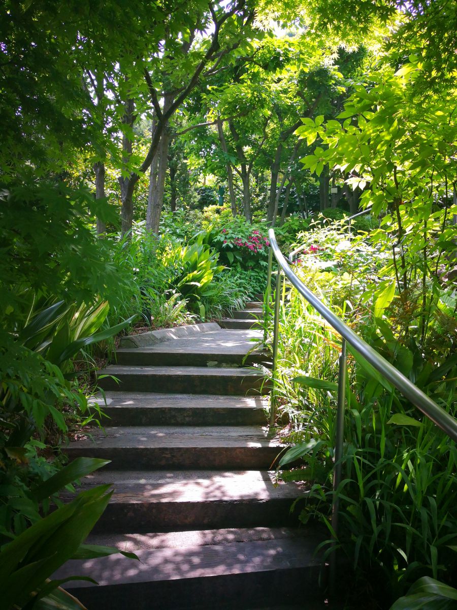 參觀大師安藤忠雄作品 考察大阪住宅與商業建筑