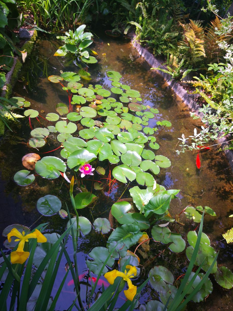 參觀大師安藤忠雄作品 考察大阪住宅與商業建筑