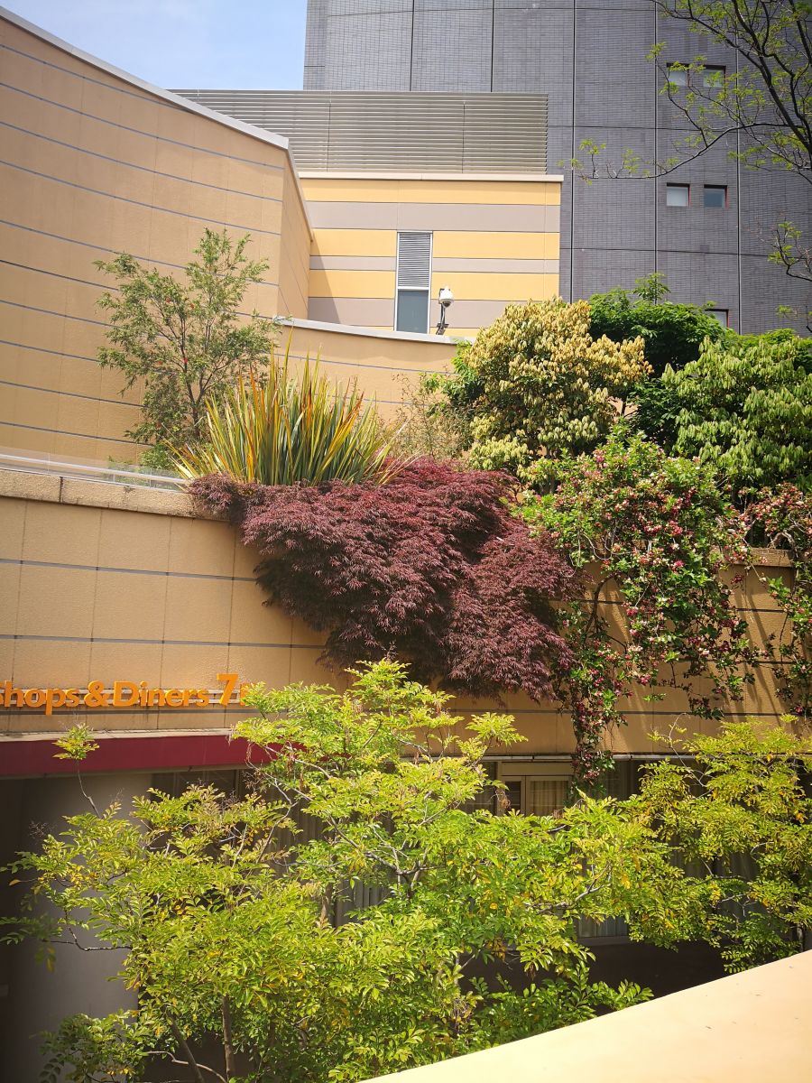 參觀大師安藤忠雄作品 考察大阪住宅與商業建筑