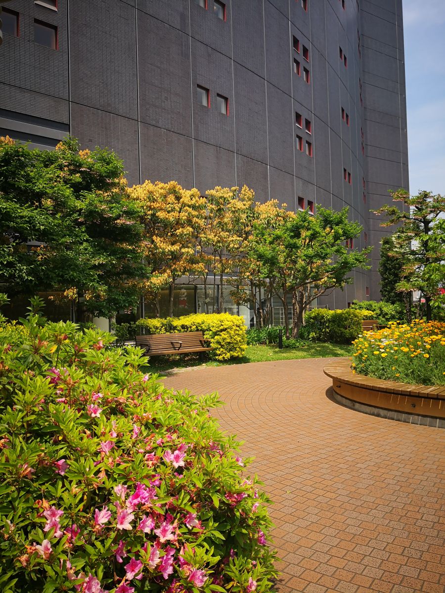 參觀大師安藤忠雄作品 考察大阪住宅與商業建筑