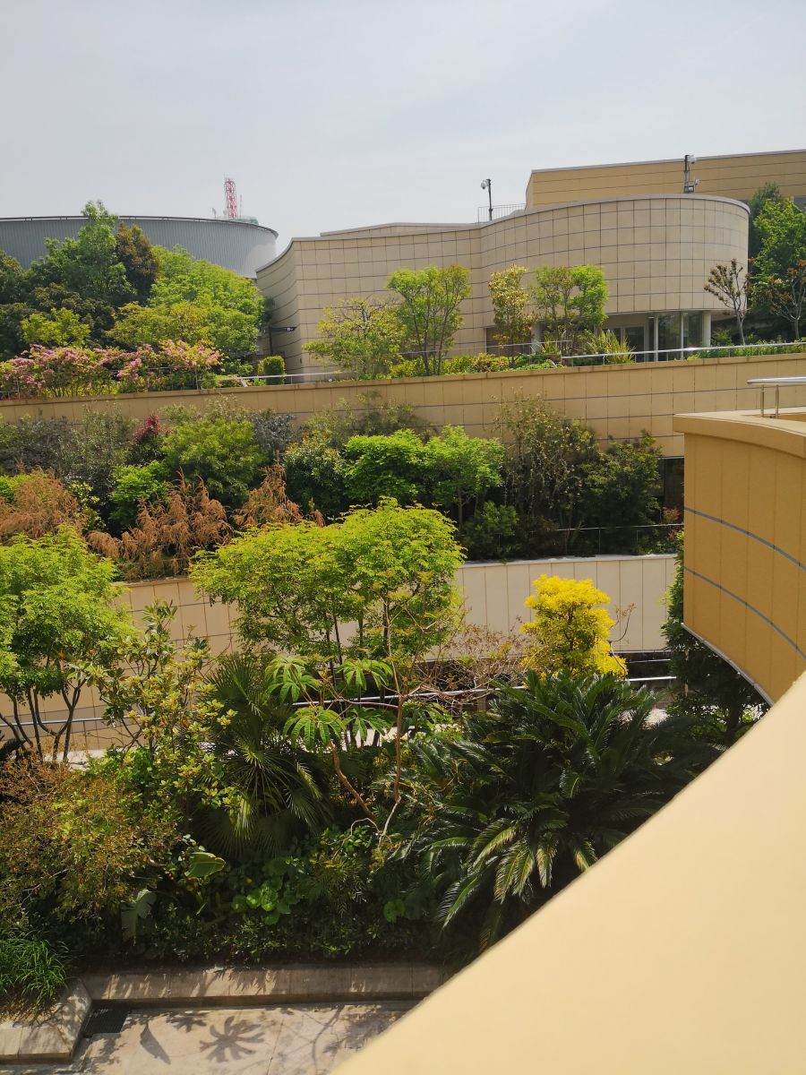 參觀大師安藤忠雄作品 考察大阪住宅與商業建筑