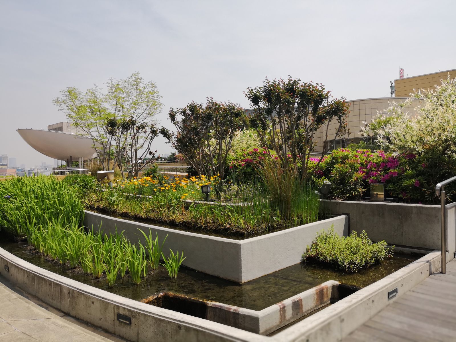 參觀大師安藤忠雄作品 考察大阪住宅與商業建筑