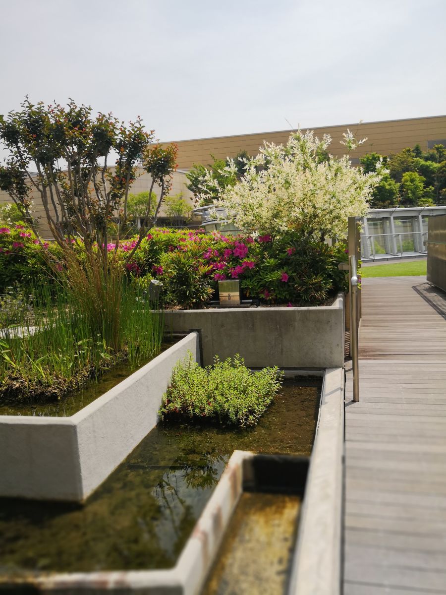 參觀大師安藤忠雄作品 考察大阪住宅與商業建筑