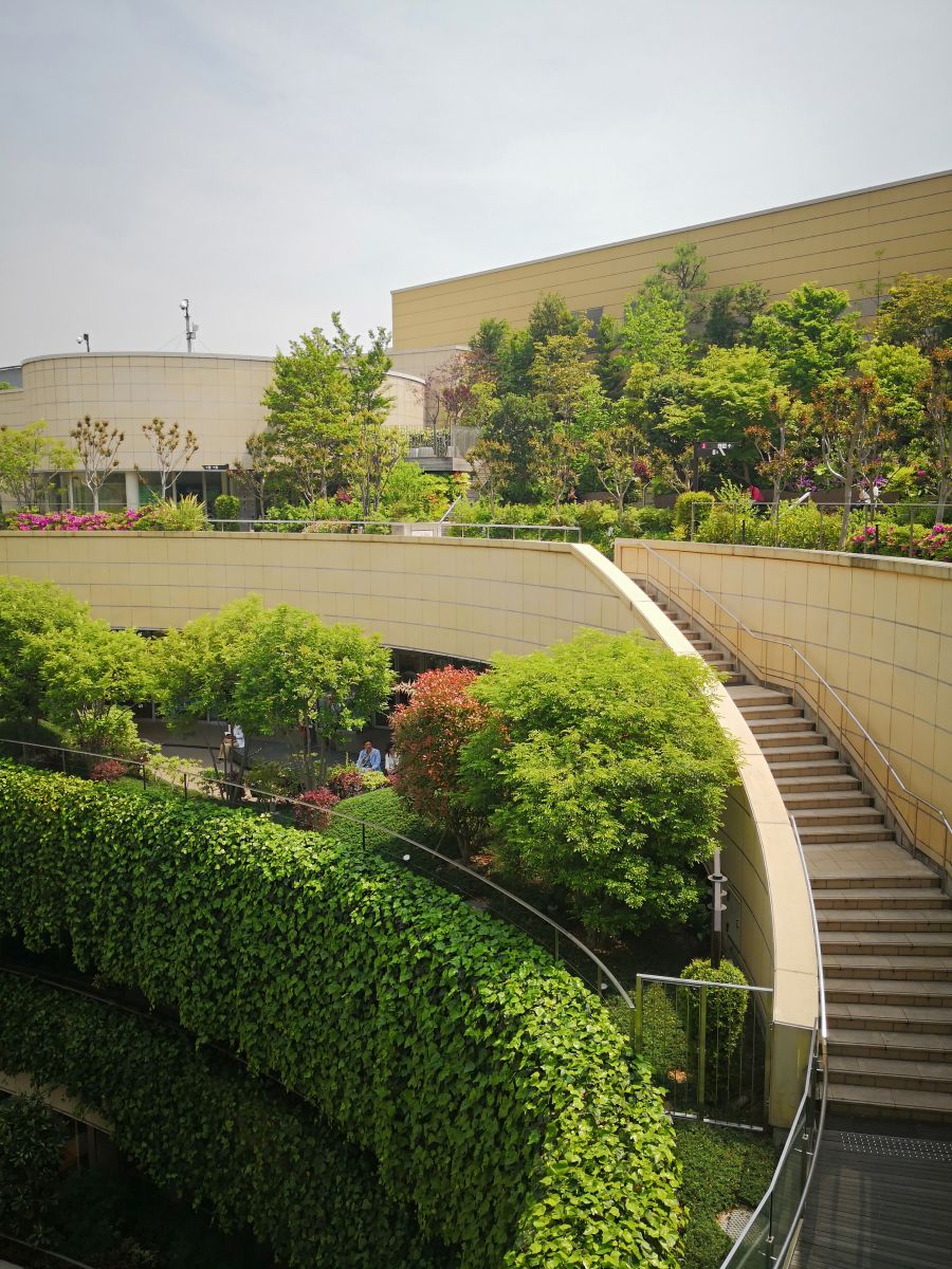 參觀大師安藤忠雄作品 考察大阪住宅與商業建筑