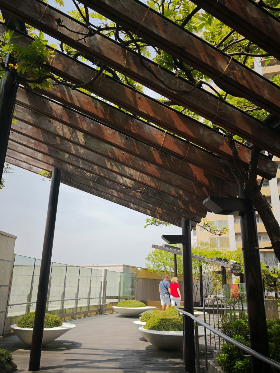 參觀大師安藤忠雄作品 考察大阪住宅與商業建筑