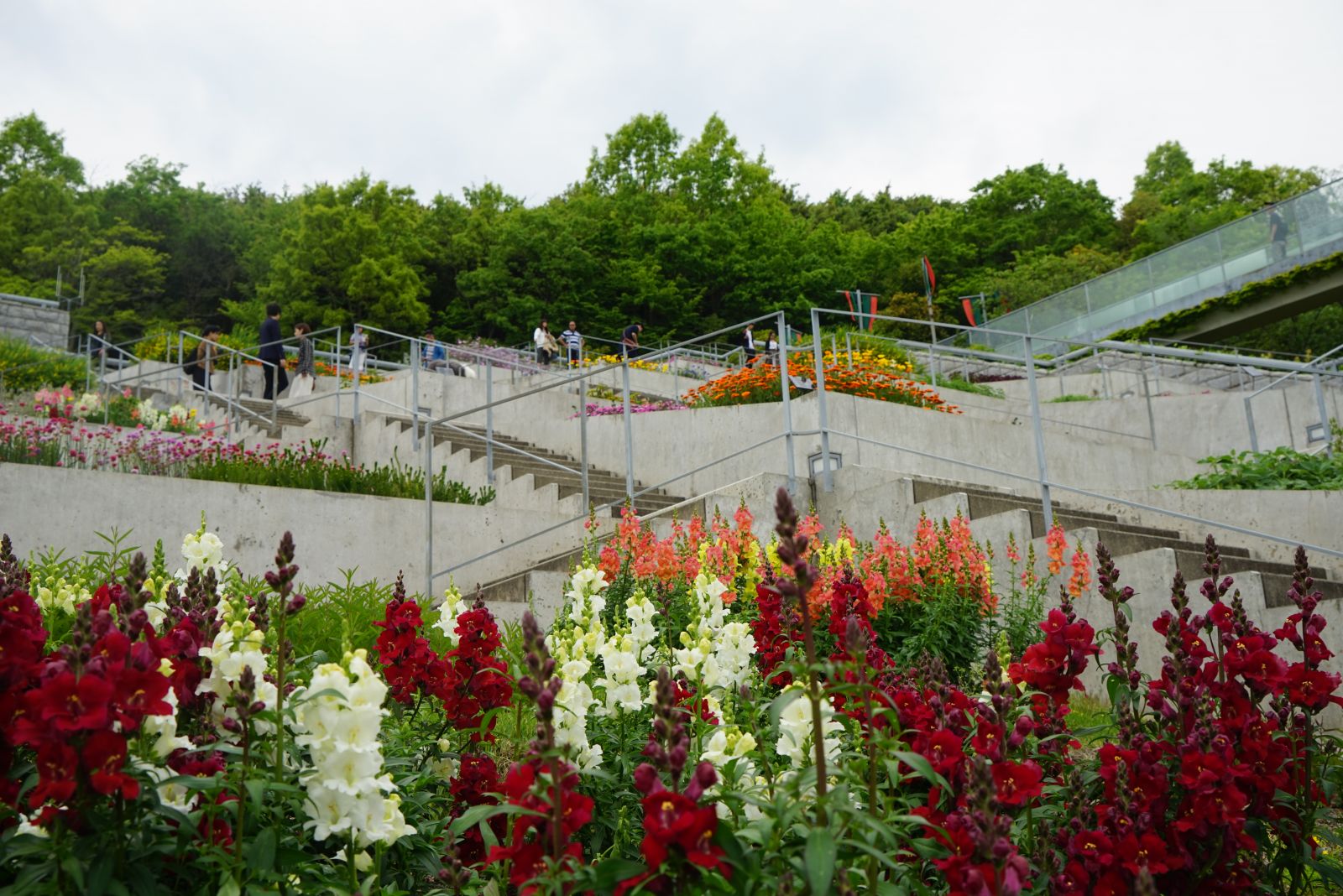 參觀大師安藤忠雄作品 考察大阪住宅與商業建筑