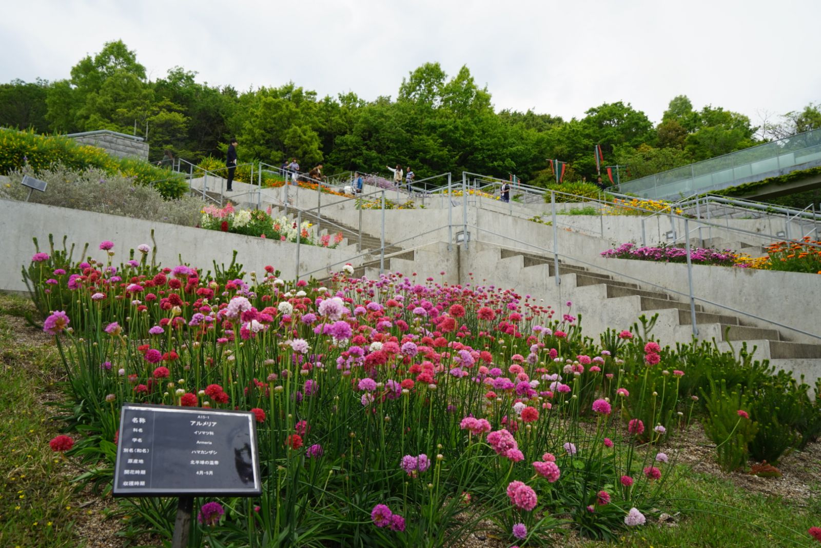 參觀大師安藤忠雄作品 考察大阪住宅與商業建筑