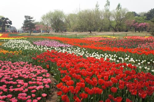 中國風(fēng)景園林學(xué)科開拓者孫筱祥先生逝世