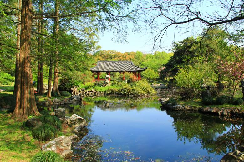 中國風(fēng)景園林學(xué)科開拓者孫筱祥先生逝世