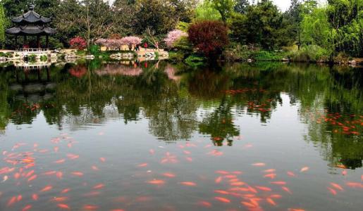 中國風(fēng)景園林學(xué)科開拓者孫筱祥先生逝世