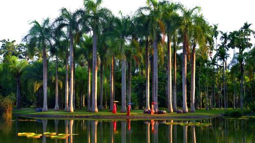 中國風(fēng)景園林學(xué)科開拓者孫筱祥先生逝世