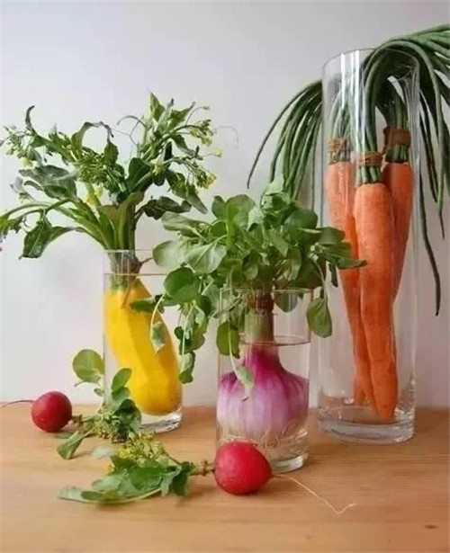 蔬菜水果插花，你不知道的美