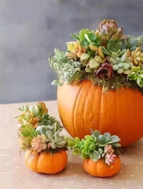 蔬菜水果插花，你不知道的美