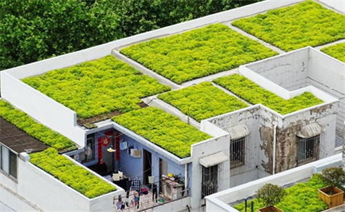 武漢黃鶴樓景區周邊立體整治見成效