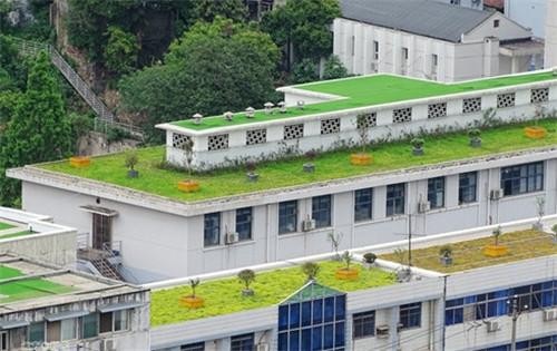 武漢黃鶴樓景區周邊立體整治見成效