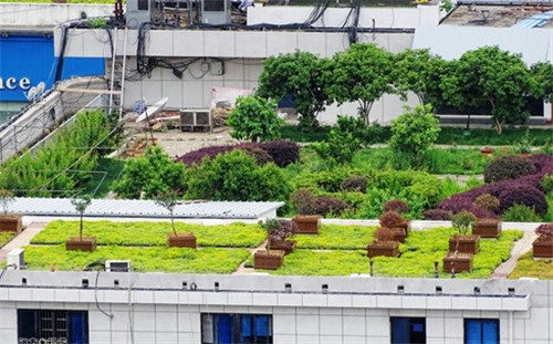 武漢黃鶴樓景區周邊立體整治見成效