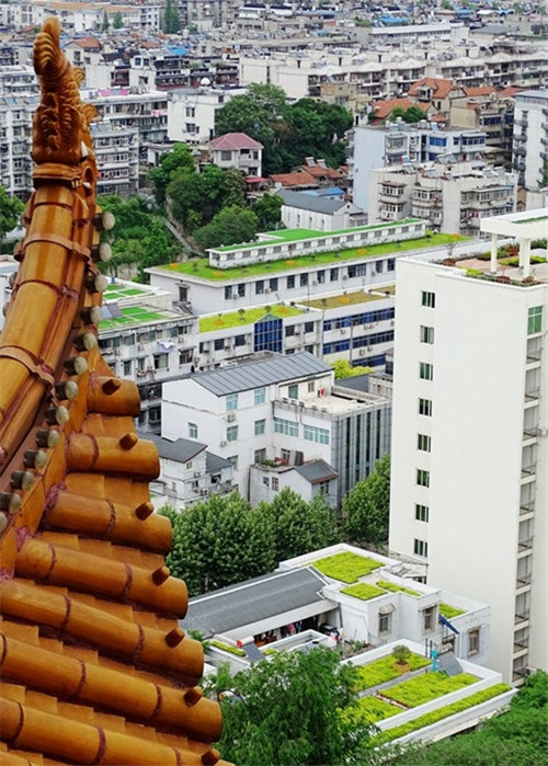 武漢黃鶴樓景區周邊立體整治見成效